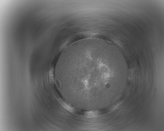 X0000067480238200604101237