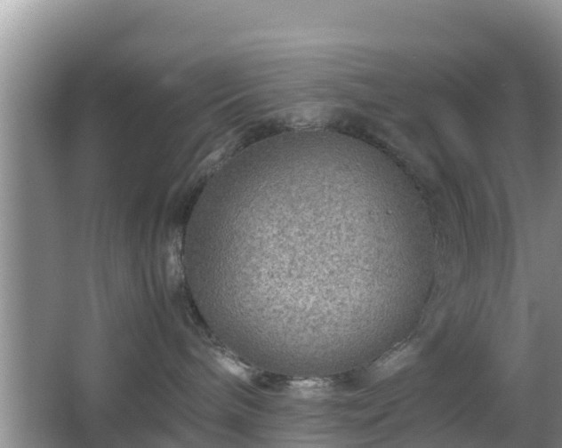 X0000067480240200604101237