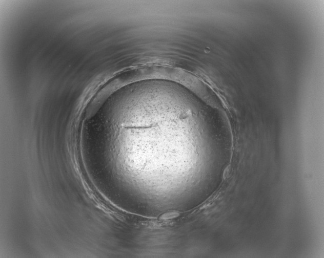 X0000067480241200604101236