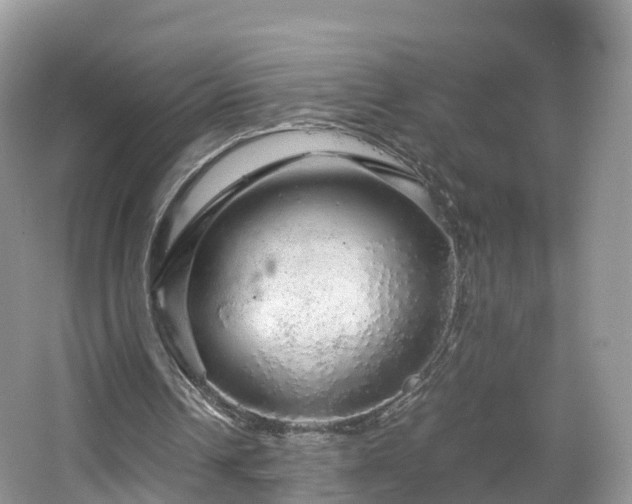 X0000067480242200604101236