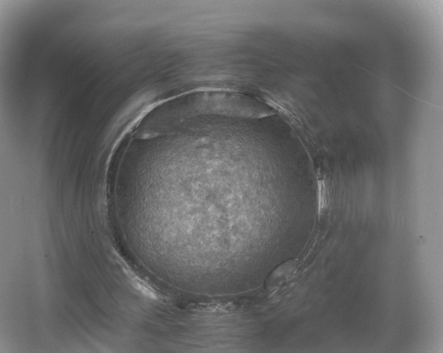 X0000067480243200604101236