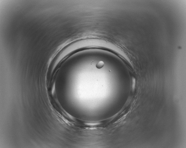 X0000067480244200604101236