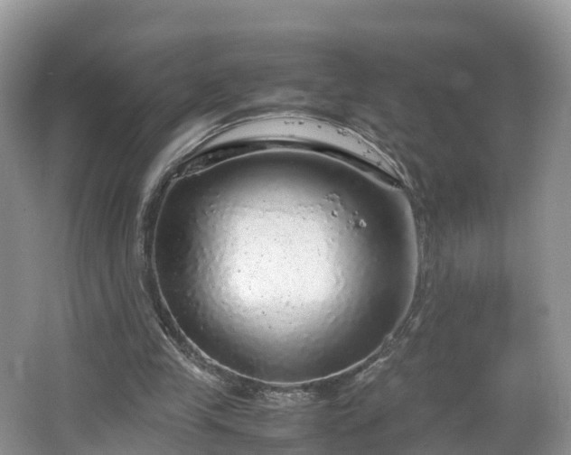 X0000067480245200604101236