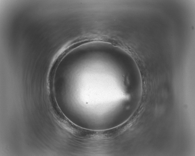 X0000067480246200604101236