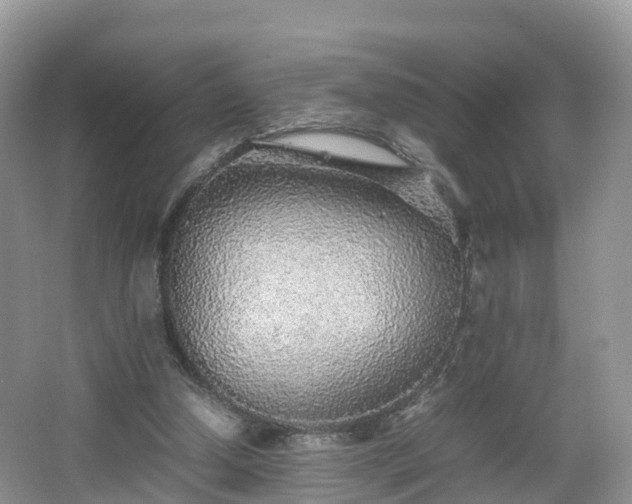 X0000067480250200604101236