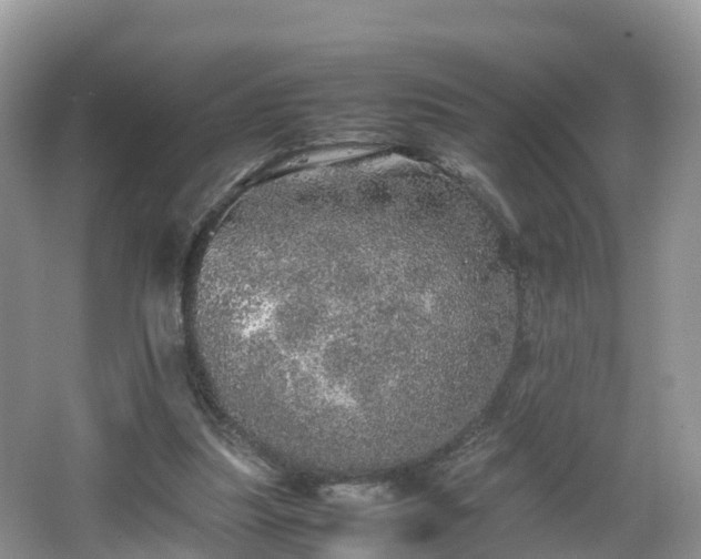 X0000067480251200604101236