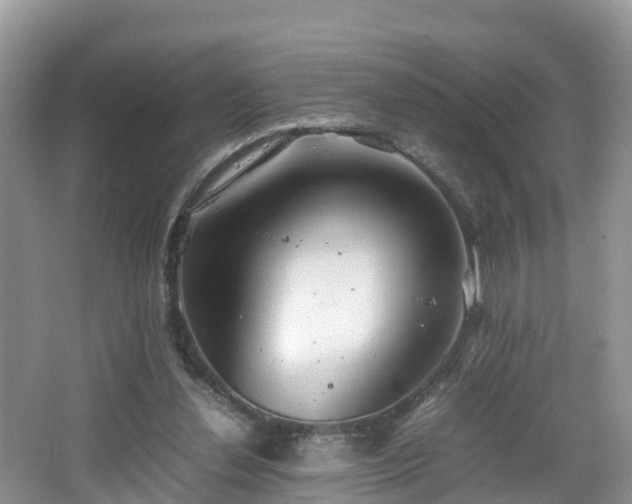 X0000067480252200604101236