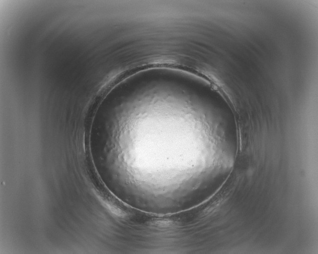 X0000067480253200604101236