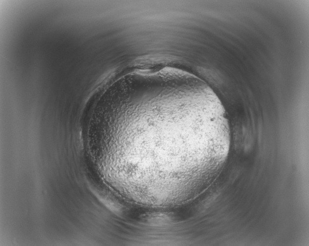 X0000067480254200604101237