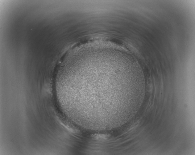 X0000067480255200604101237