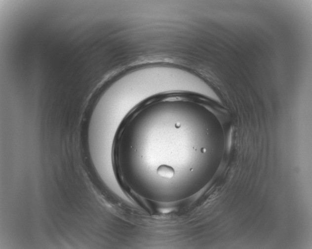 X0000067480256200604101237