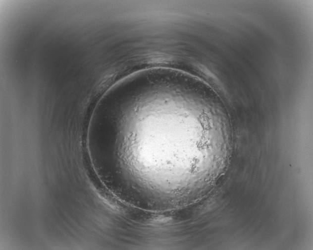 X0000067480257200604101237