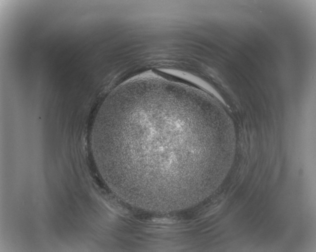 X0000067480259200604101237