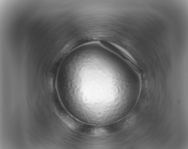 X0000067480262200604101237