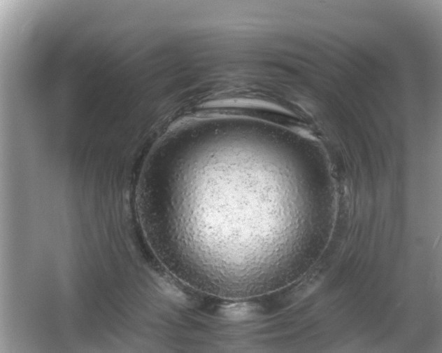 X0000067480269200604101237