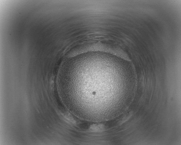 X0000067480271200604101237