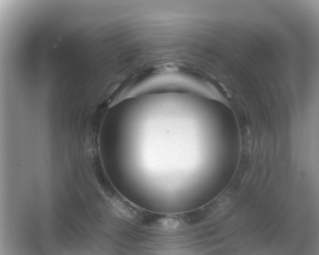 X0000067480272200604101237