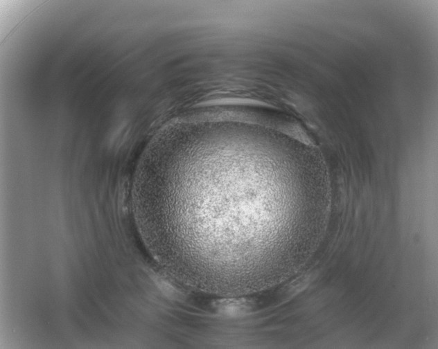 X0000067480273200604101237