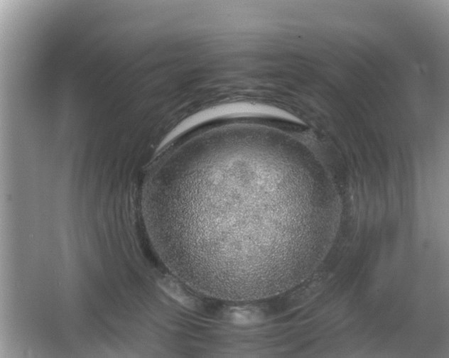 X0000067480275200604101237