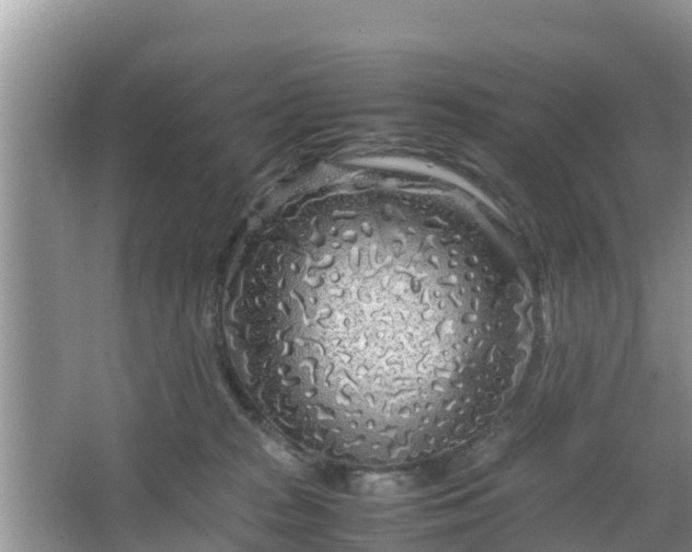 X0000067480277200604101237