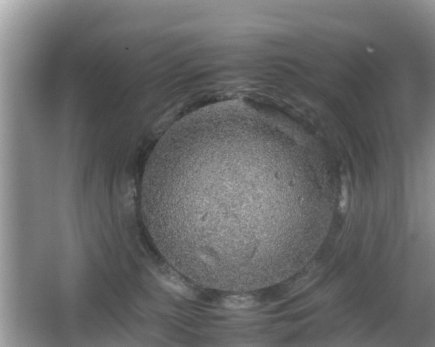 X0000067480279200604101237