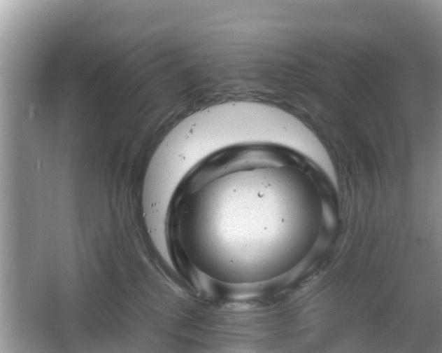 X0000067480280200604101237