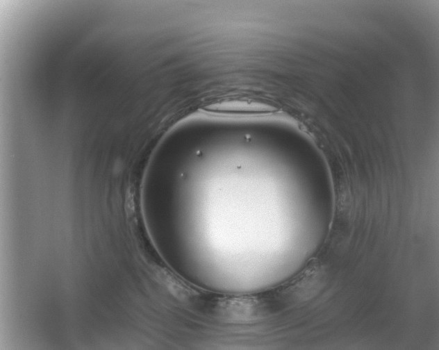 X0000067480282200604101237