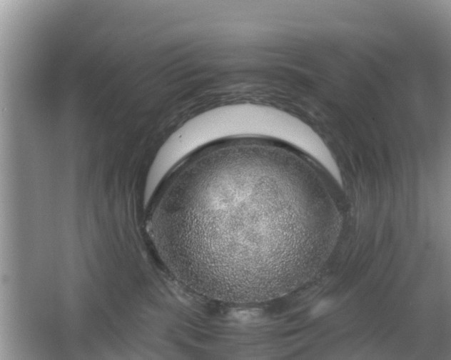 X0000067480283200604101237