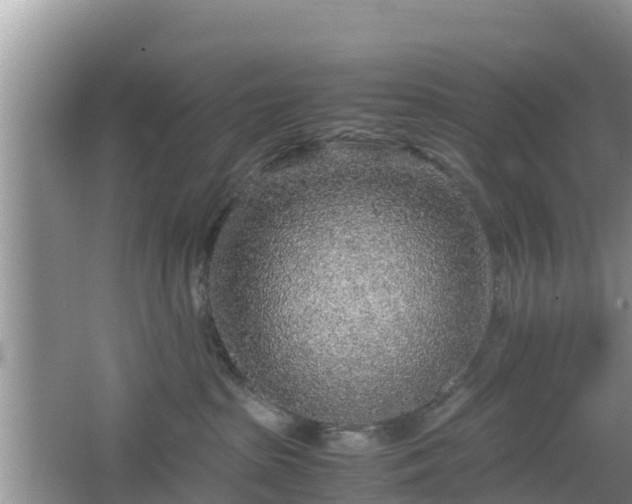 X0000067480285200604101237