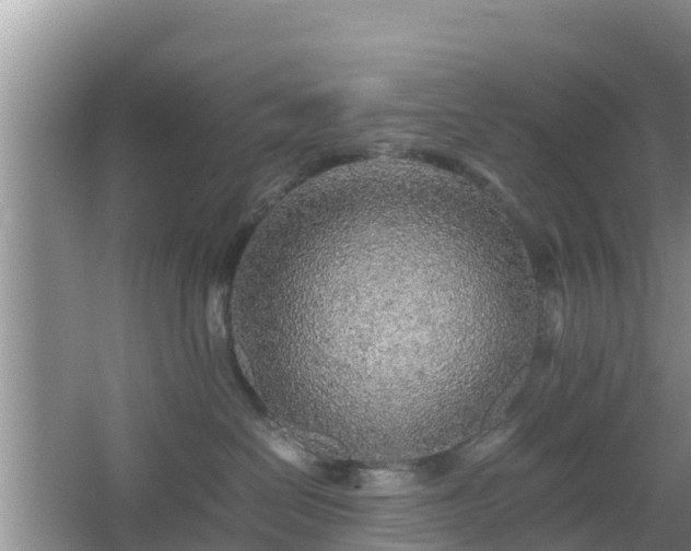 X0000067480286200604101237