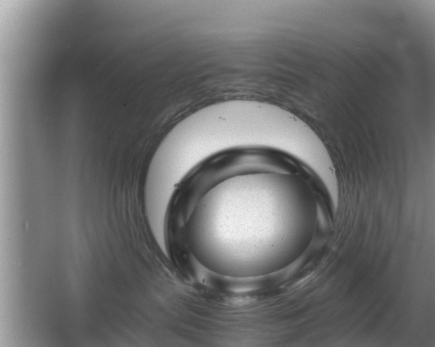 X0000067480287200604101237