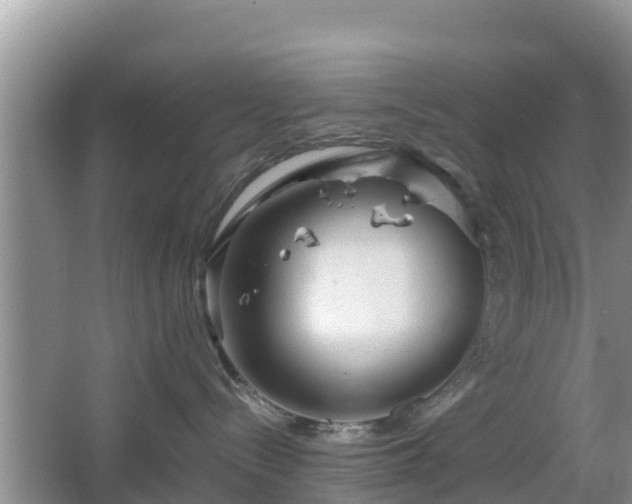 X0000067480288200604101237