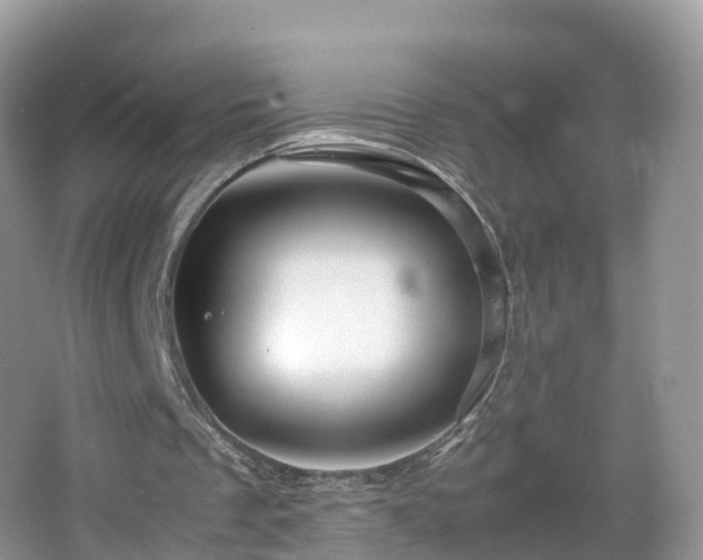 X0000067480289200604101236