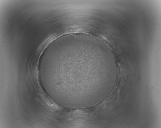 X0000067480290200604101236