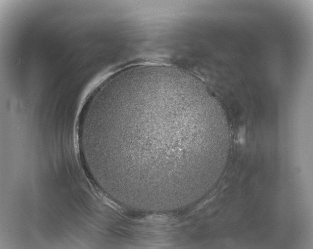 X0000067480294200604101236