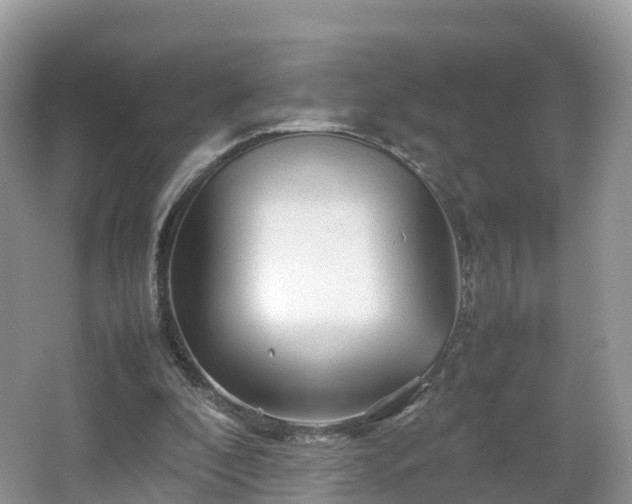 X0000067480296200604101236