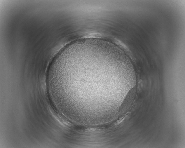 X0000067480298200604101236