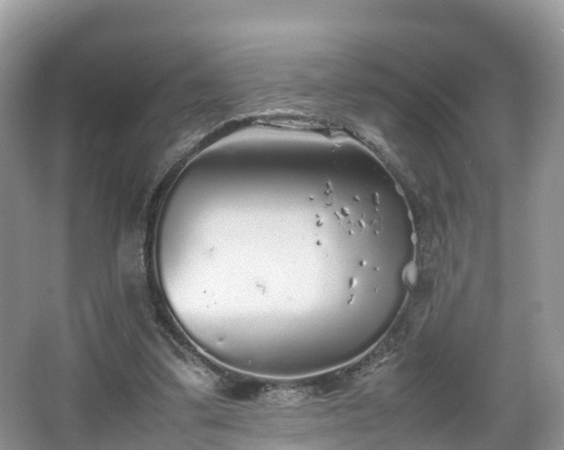 X0000067480299200604101236