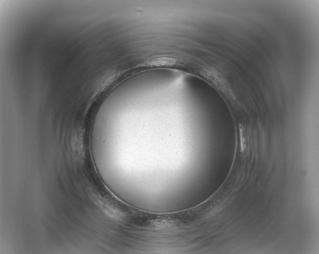 X0000067480300200604101236