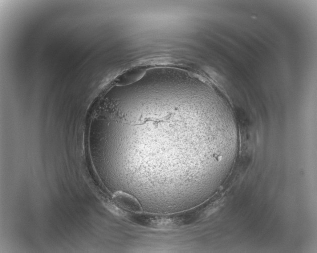 X0000067480301200604101236