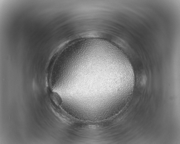 X0000067480302200604101236