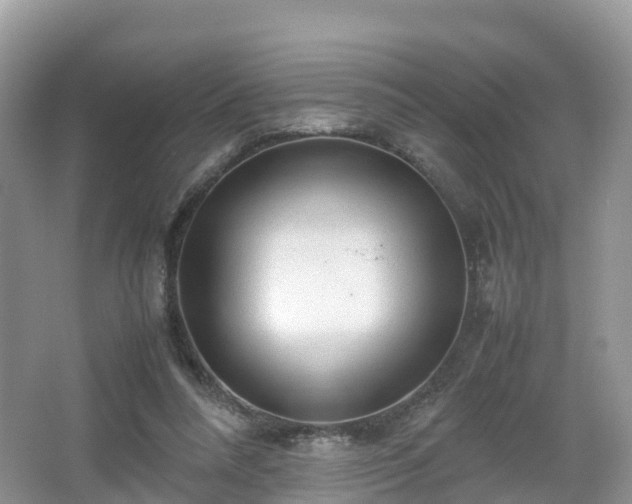 X0000067480304200604101236