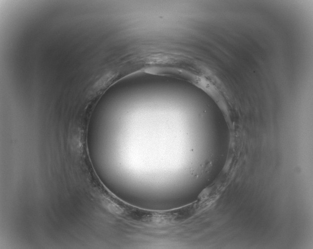 X0000067480305200604101236