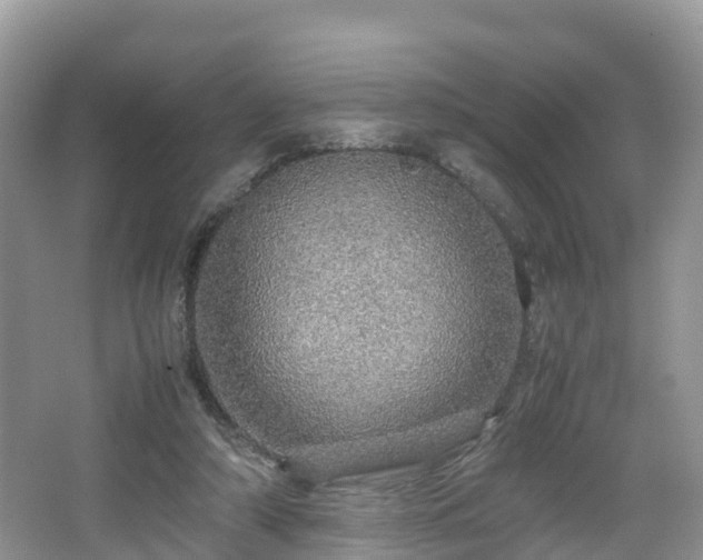 X0000067480306200604101236