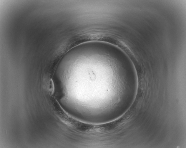 X0000067480307200604101236