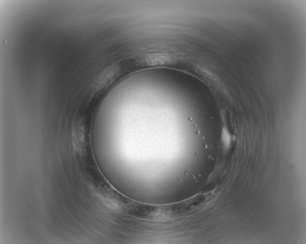 X0000067480308200604101236