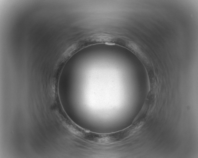 X0000067480309200604101236