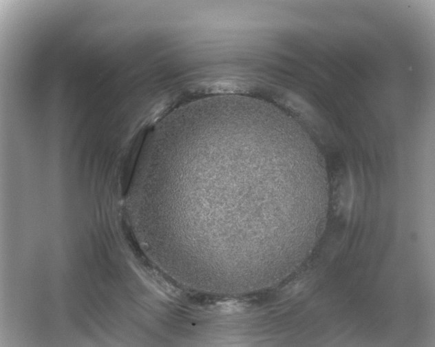 X0000067480310200604101236