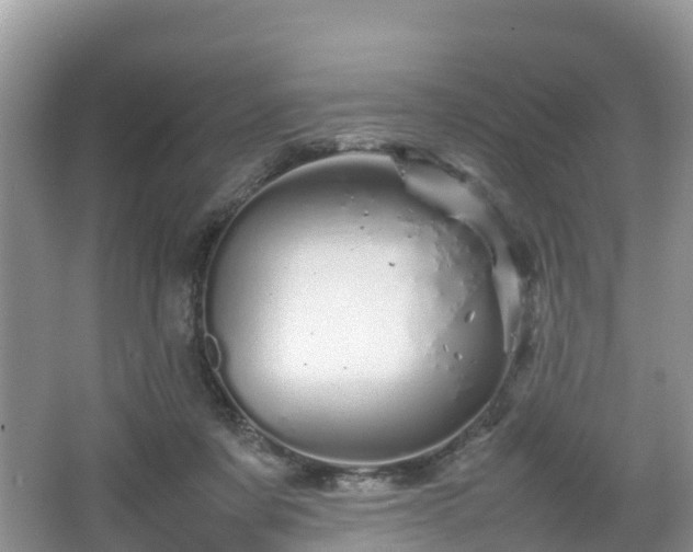 X0000067480311200604101236