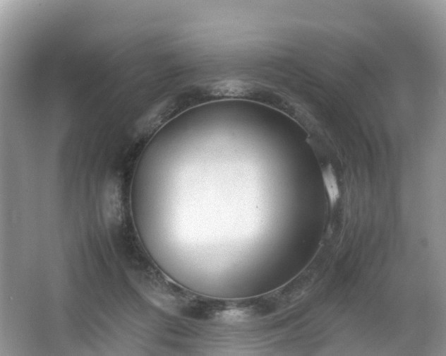 X0000067480312200604101236